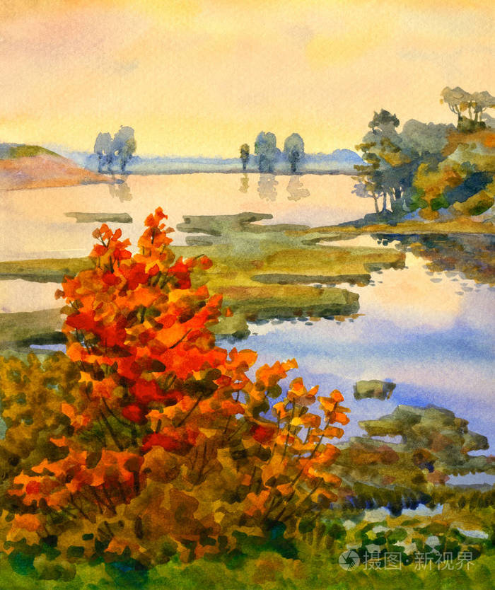 风景秀丽的黄昏,平静的夏季景色.