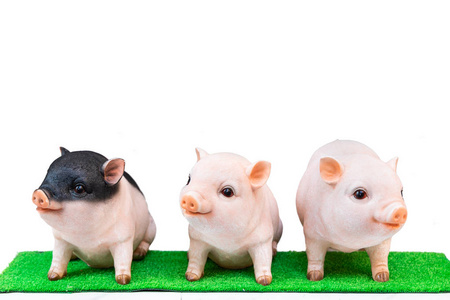 2019年农历新年生肖照片