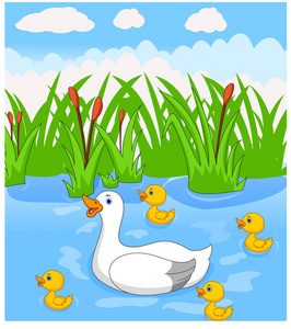 鸭妈妈和小鸭子在池塘里游泳鸭妈妈和她的两只可爱的小鸭子一起游泳