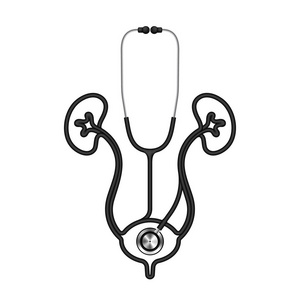 由听诊器电缆制成的肾脏和膀胱形状，黑色和医学器官概念设计插图，白色背景，复制空间矢量EPS10