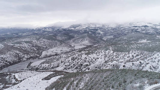 在冬季的正中, 从雪山松树顶部空中。拍摄。丰富的冬季精神