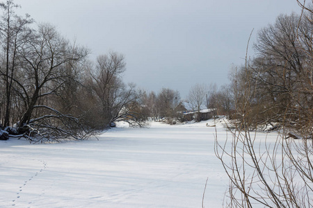 美丽的冬季景观。 冰冻的河流覆盖着树木两岸的雪。 冰冻的湖在村庄里覆盖着雪。