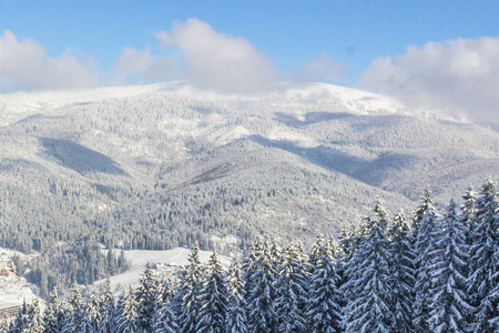 乌克兰喀尔巴阡山脉的景色。 滑雪胜地布科维尔。 雪山。 云杉林。 滑雪者和滑雪者的滑雪坡。 冬季运动。 山村里的小屋。 阳光明媚