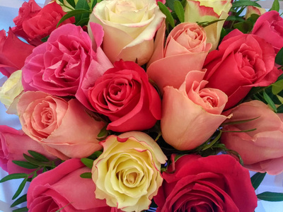 玫瑰花束，红色，黄色和粉红色。背景