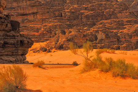 美丽沙漠的神奇景观。约旦瓦迪鲁姆。