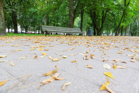 秋天公园里的黄叶和空凳子