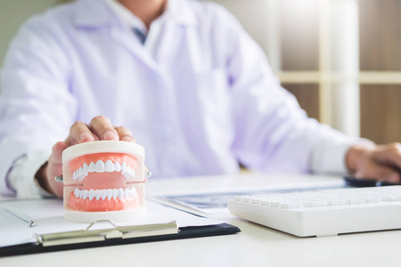 集中牙科医生坐在桌子上，牙床样本牙齿模型在牙科办公室专业牙科诊所。
