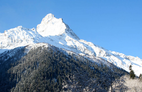 俄罗斯白种人山区的山顶