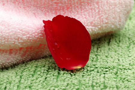 粉红色和绿色毛巾上的玫瑰花瓣