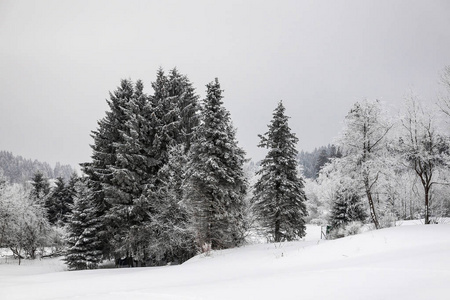 冬天，在德国奥伯霍夫附近的图林根森林里下雪。