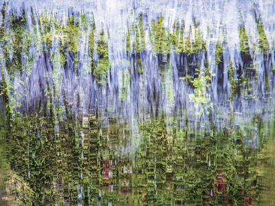 水, 草。生态背景。模糊