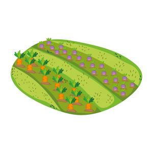 洋葱和胡萝卜种植种植园产品矢量图