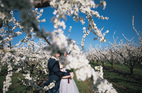 新婚夫妇在春暖花开的花园里散步时，新娘和新郎穿着一件轻便的衣服，温柔的感情