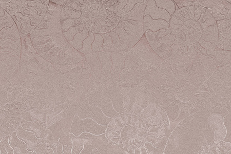 动漫图片淡粉图片