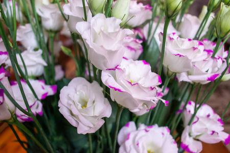 白色和粉红色的花束