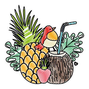 带椰子饮料和异国鸟类矢量插图的热带菠萝涂鸦