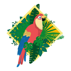 鹦鹉鸟，外来植物，树叶矢量插图