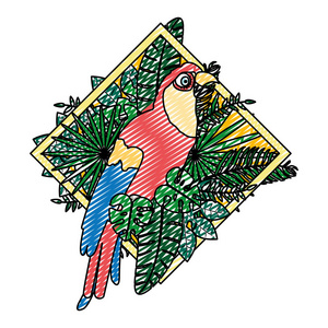 鹦鹉鸟与外来植物叶片矢量插图