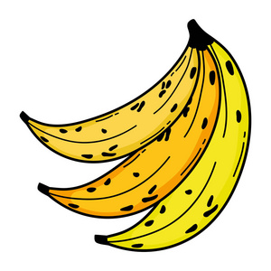 美味香蕉水果有机维生素插图