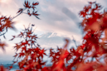 日本川川子湖上的枫叶模糊，富士山在云中害羞