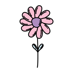 色彩自然花卉植物异域风情插图