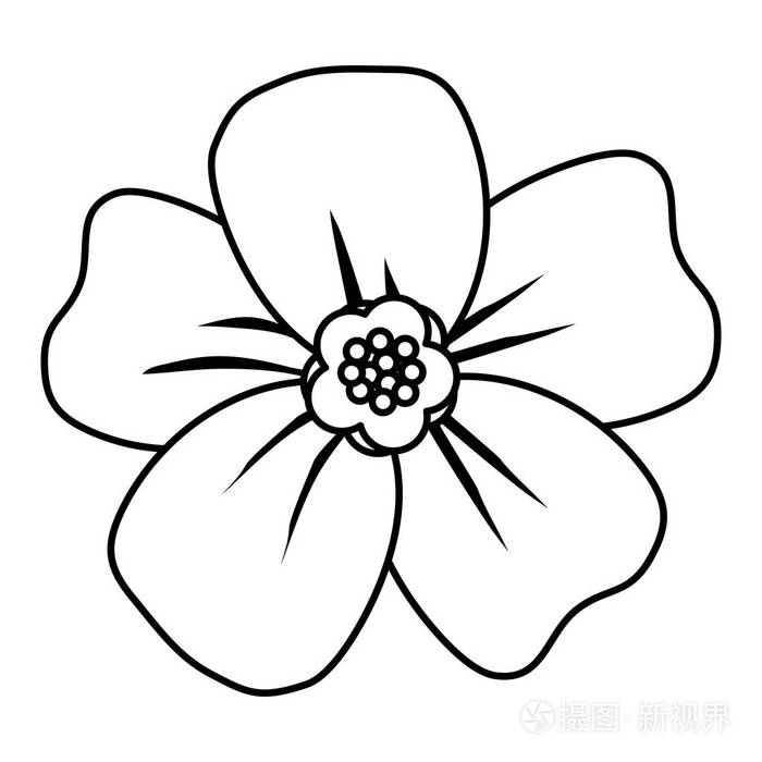 线美热带花花瓣样式矢量插图