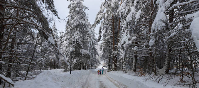保加利亚奥索沃山冬季景观