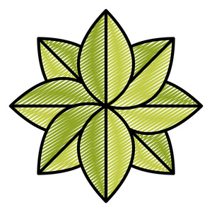 热带树叶植物风格矢量插图图片