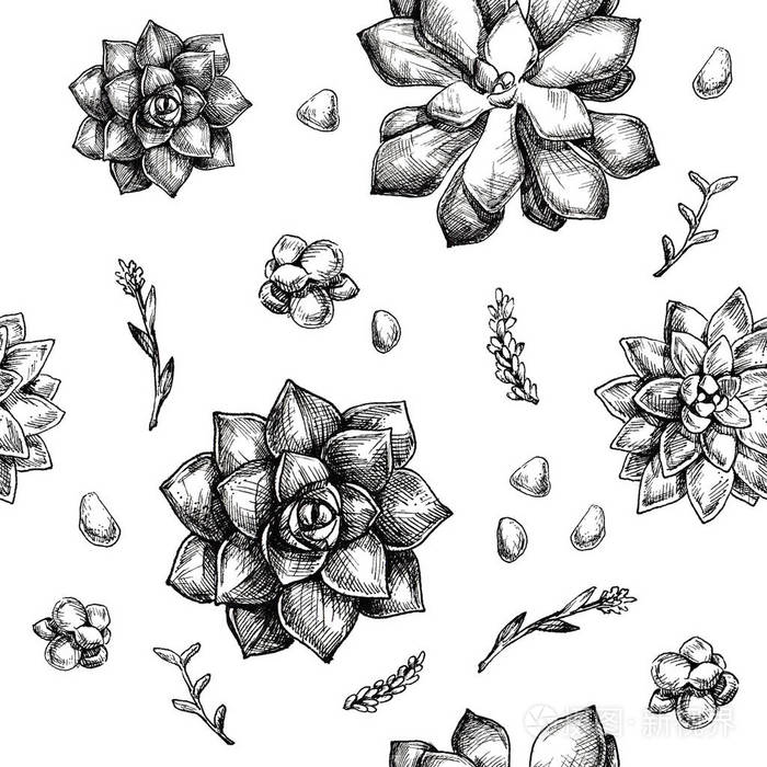 树枝,石头肉质的线性草图组成室内花卉图案图片2