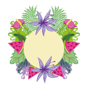 热带植物与异国西瓜水果矢量插图