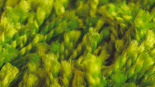 绿色纹理的纱线和织物近距离拍摄的地毯。 绿色背景