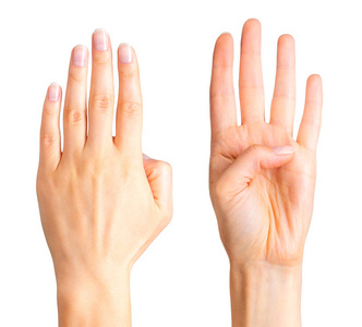 显示四个手指和手掌的女人的手照片