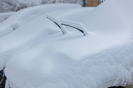 汽车雨刷从雪地里伸出