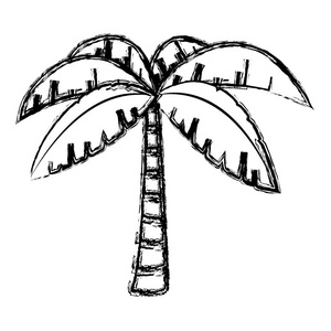 带热带树叶矢量插图的外来棕榈