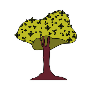 色彩自然奇异树柄植物矢量插图