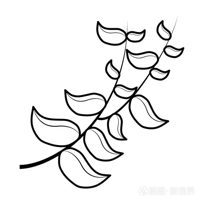 热带树枝植物学树叶样式矢量插图插画-正版商用图片189z4u-摄图新视界