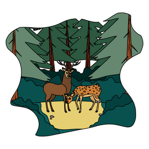 彩色夫妇鹿野生动物景观矢量插图