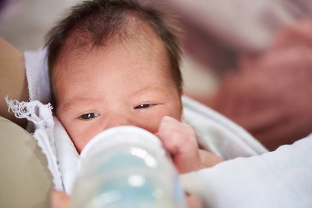 新生儿饮用牛奶的肖像