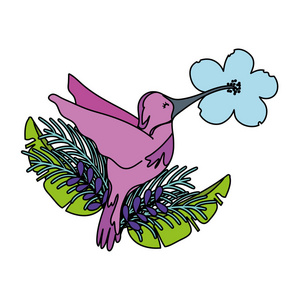 彩色热带鸟类飞行的异国花卉矢量插图