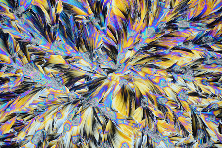 照片通过显微镜生长的晶体从磺胺水杨酸溶液在酒精中。 偏振光技术。