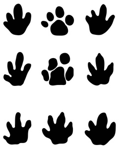 犀牛在白色背景上的黑色脚印