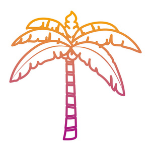 退化热带棕榈树带叶和椰子矢量图