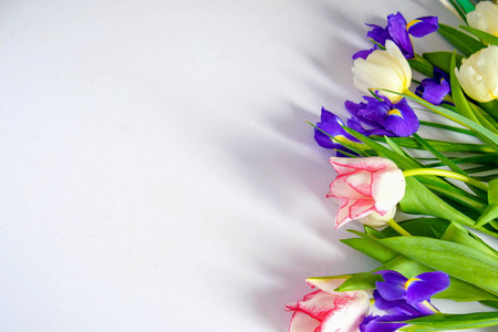 彩色的春天郁金香和白色背景复制空间的鸢尾花