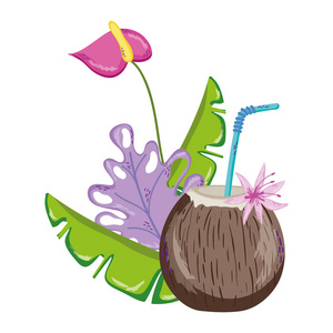 热带植物异国椰子饮料矢量插图