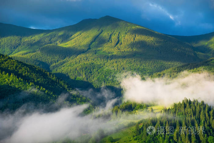 山区的夏季森林. 自然的夏季景观. 雾中的森林. 乡村景观. 山景竟观