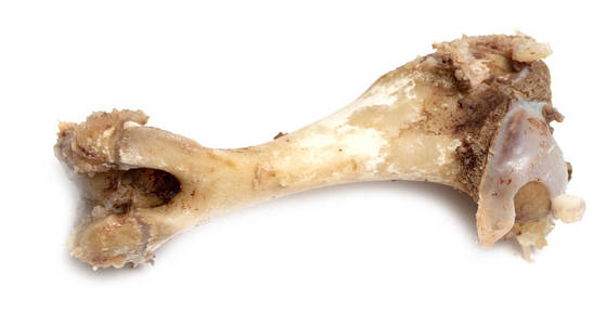 猪骨头图片