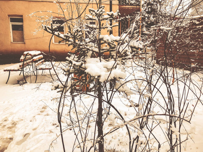 一棵树上的冰冻雪。城市街道上的雪。被白雪覆盖的公园长椅。巴库里亚尼冬季的开始