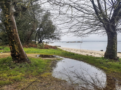 Vilanova dea西纳斯海滩上的树木和雨水池