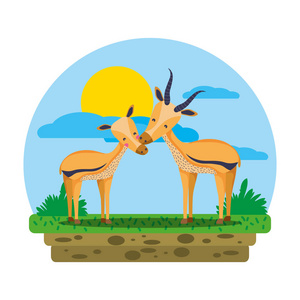 可爱的鹿夫妇野生动物在景观矢量插图。
