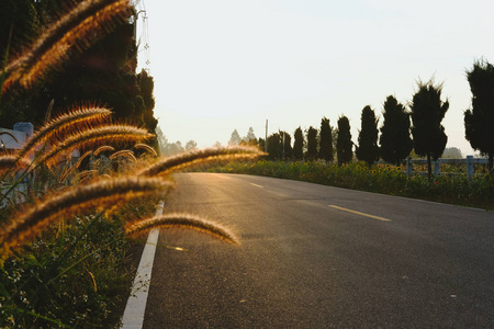 乡间小路旁的草地，日出日落